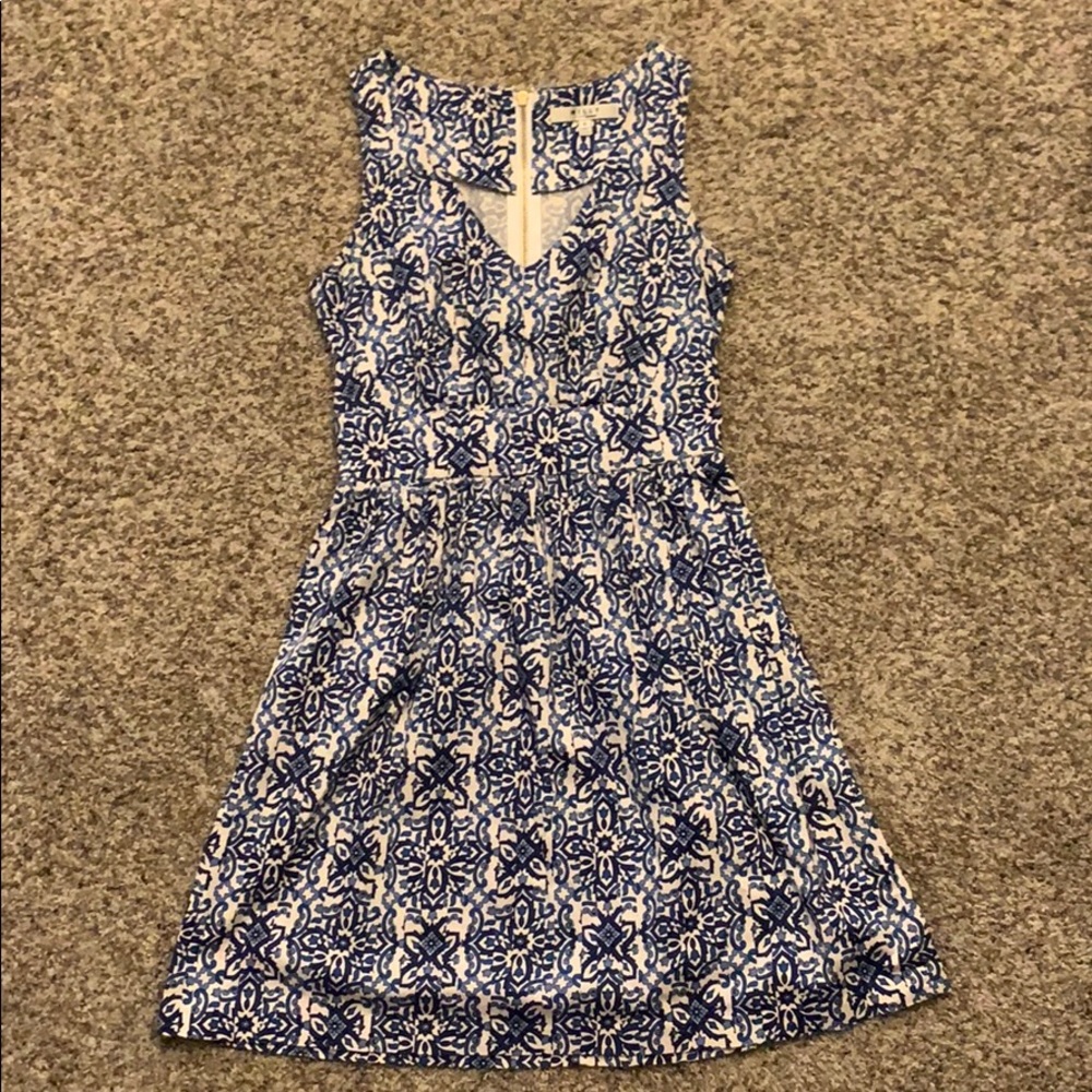 Blue and white dress